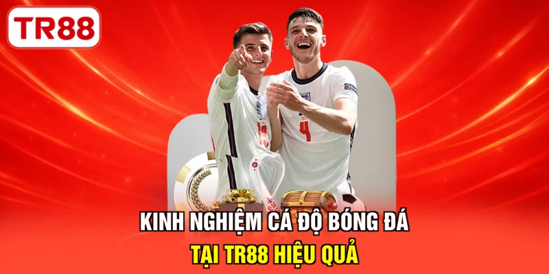 Kinh nghiệm cá độ bóng đá
