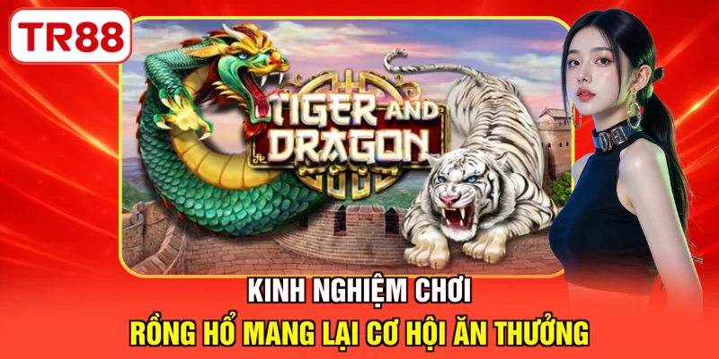 Kinh nghiệm chơi Rồng Hổ mang lại cơ hội ăn thưởng  
