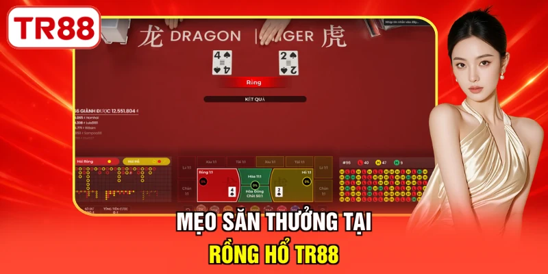 Mẹo săn thưởng tại Rồng hổ TR88
